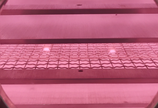 真空草莓视频91污清洗机.png