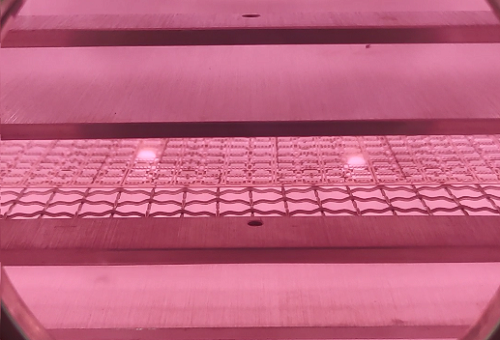 真空草莓视频91污清洗机.png