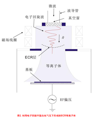 草莓视频91污体.png